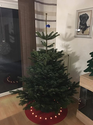 Facebook Adventskalender - ein voller Erfolg Bild10