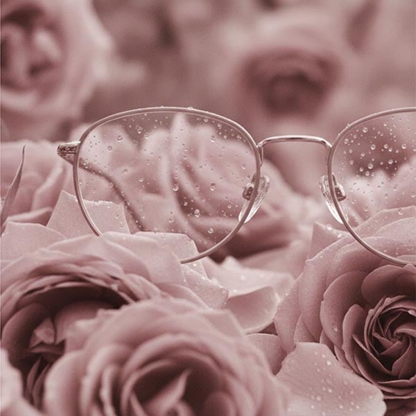 Blog_0007_Raindrops on roses-1