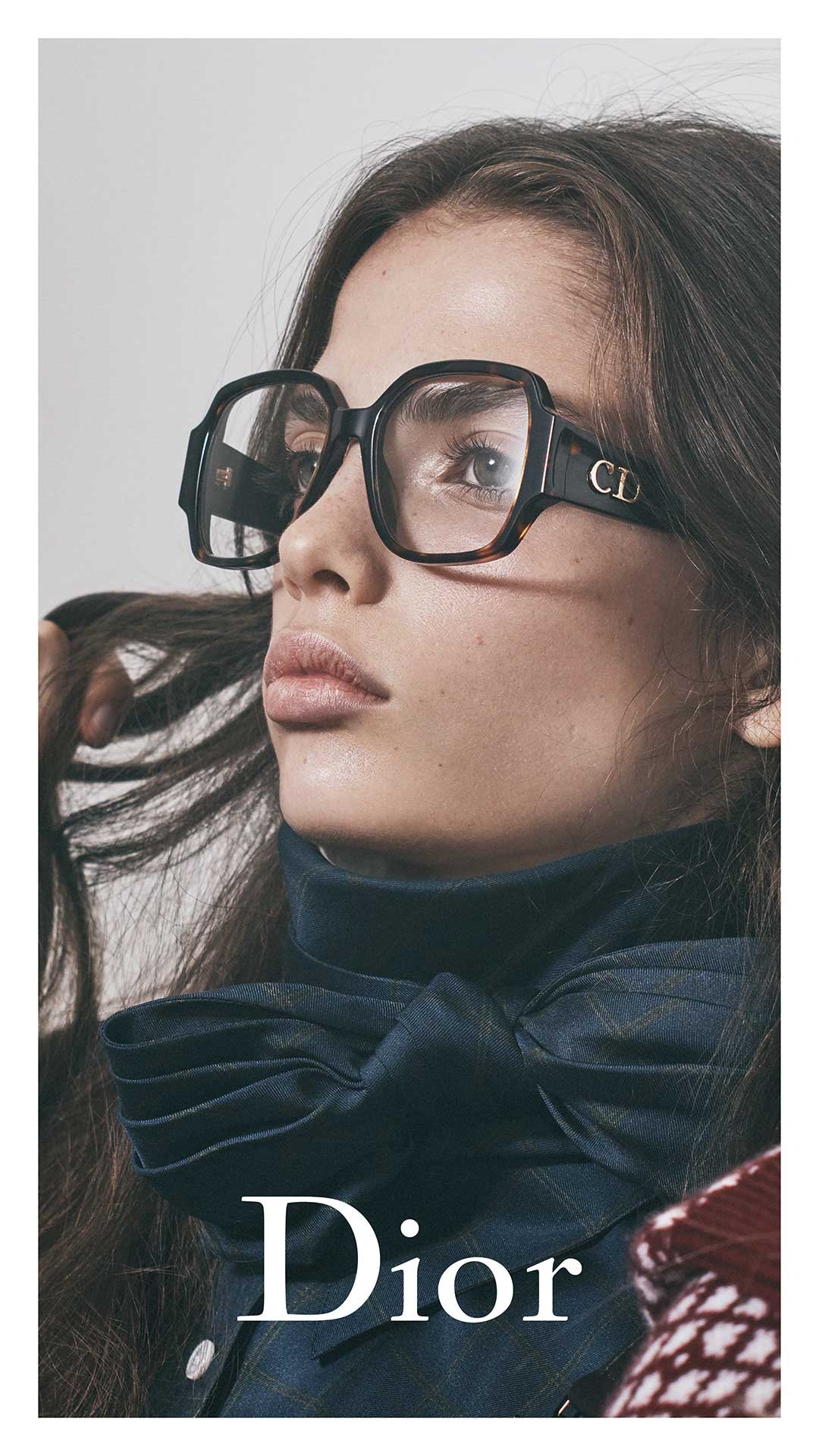 rottler_brillen_marken_dior