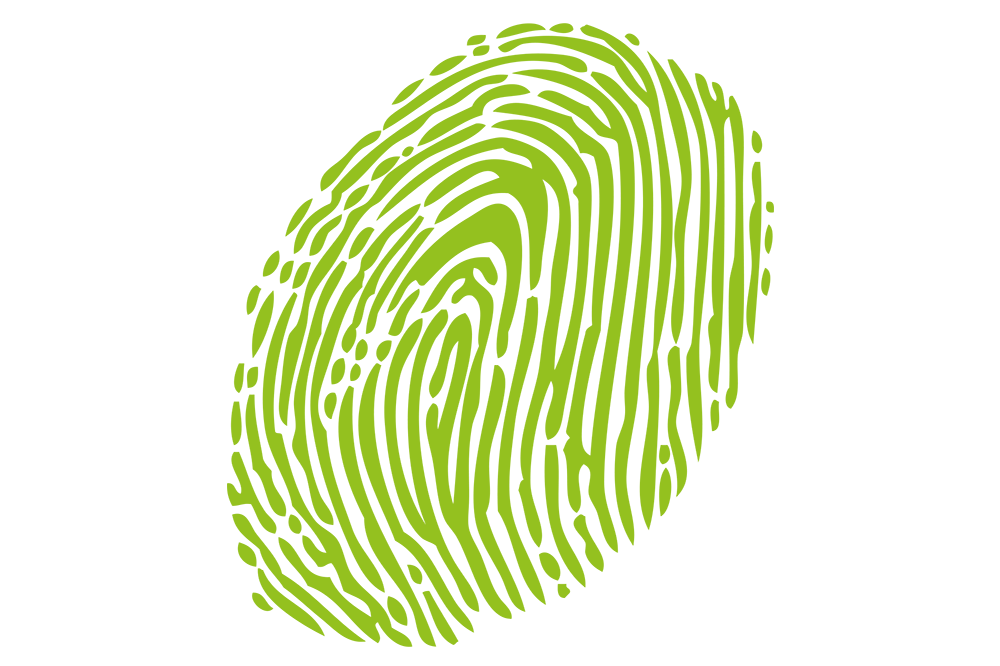 Gluecklichwerte_Einzeln_Identifikation